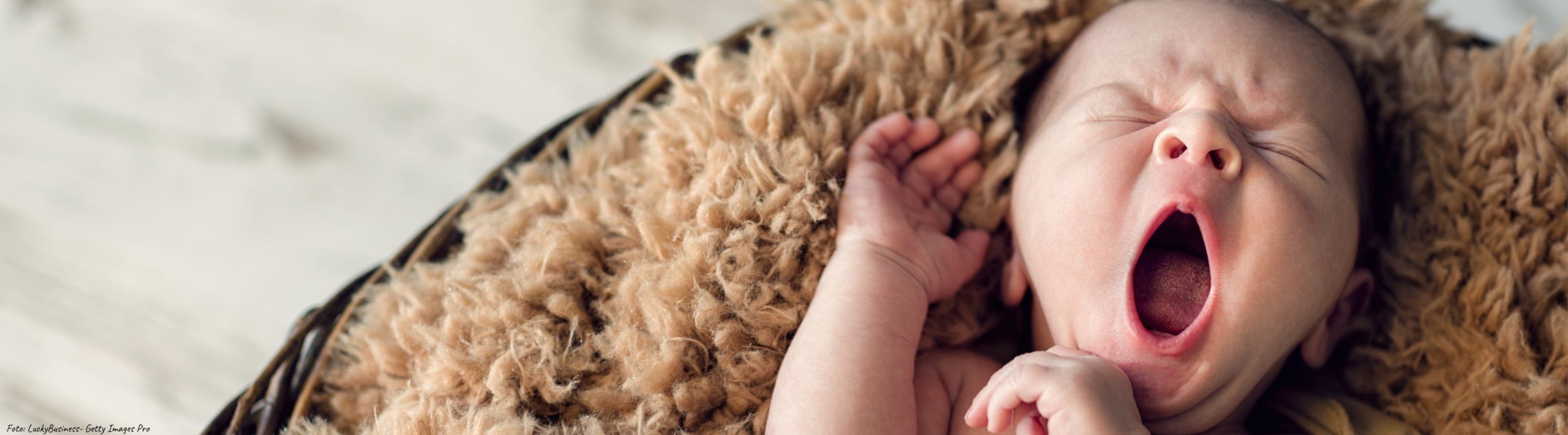 Baby im bindungsorientierten BabySteps-Babykurs in Dresden